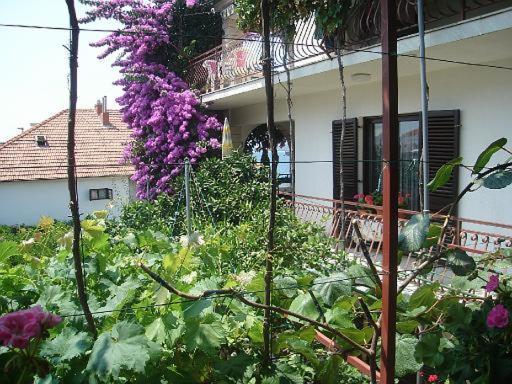Apartment Knez Trogir Exterior photo